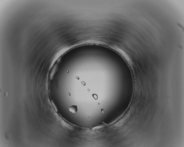 X0000096490910200801311616