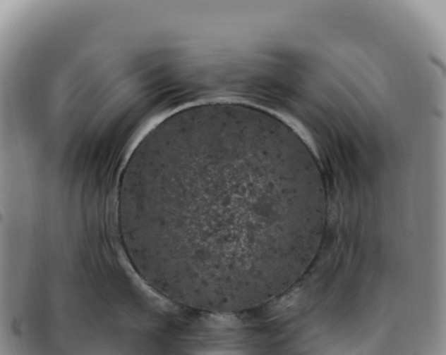 X0000096490911200801311615