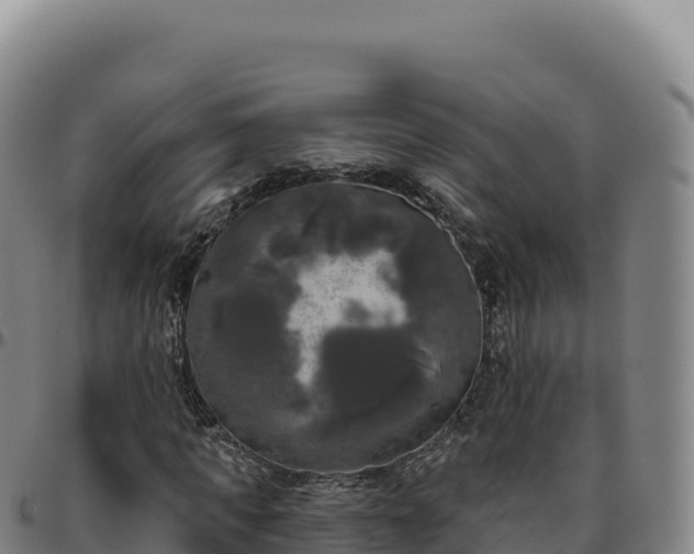 X0000096490917200801311615