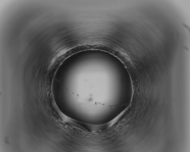 X0000096490920200801311615