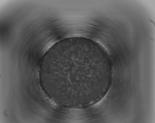 X0000096490921200801311615