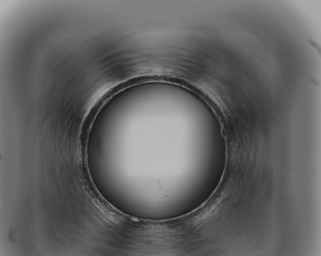 X0000096490927200801311615