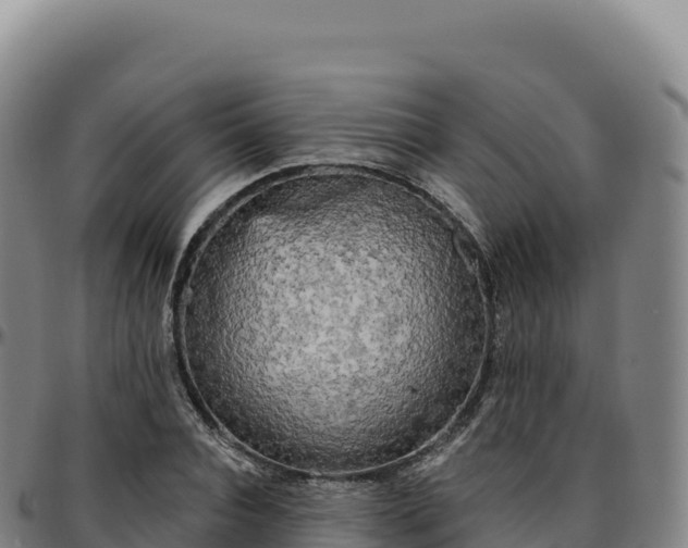 X0000096490928200801311615