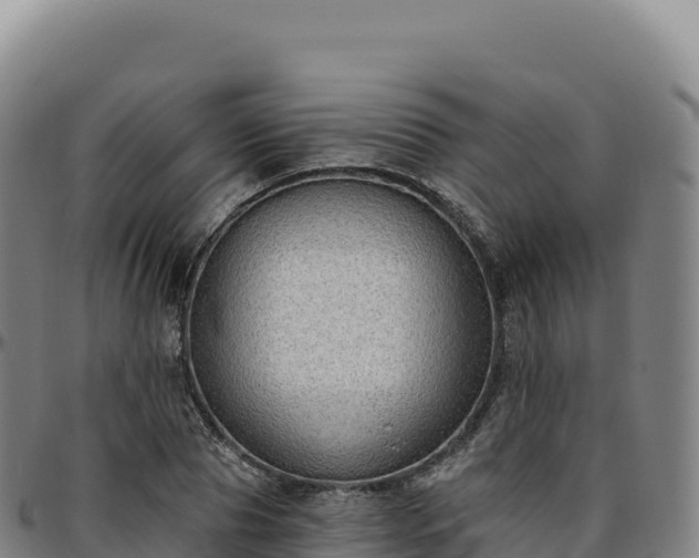 X0000096490929200801311615