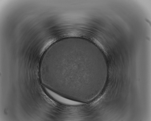 X0000096490930200801311615