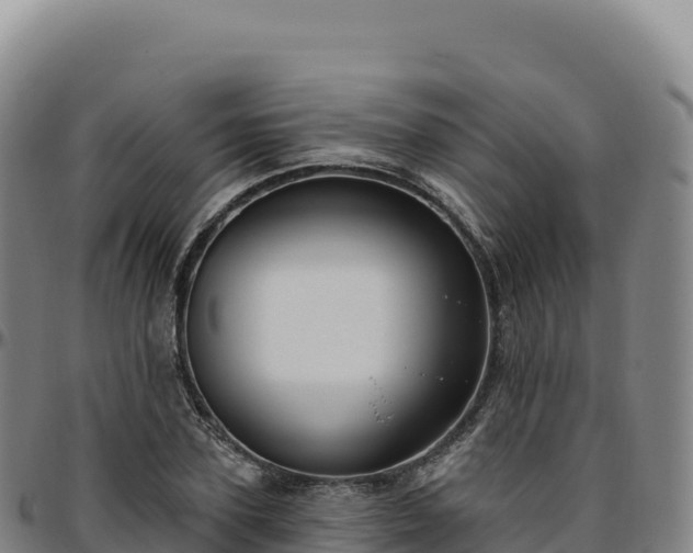 X0000096490931200801311615