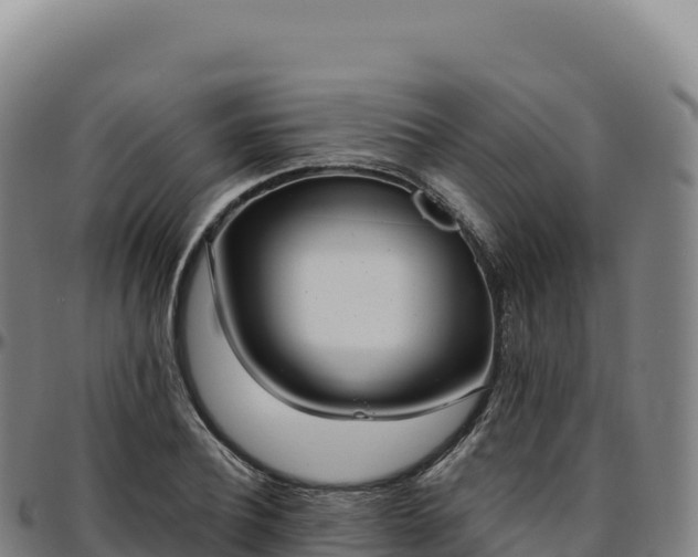 X0000096490932200801311615