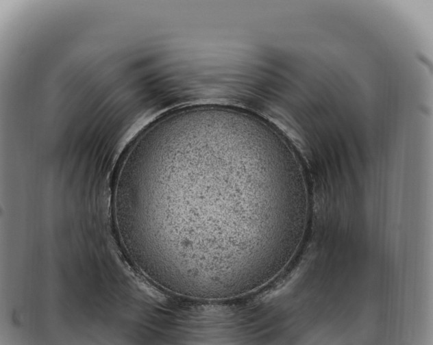 X0000096490933200801311615