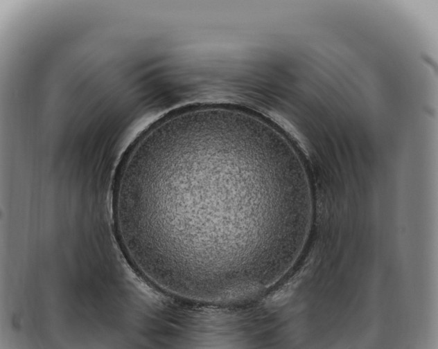 X0000096490935200801311615