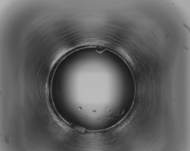 X0000096490936200801311615