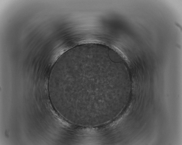 X0000096490937200801311615