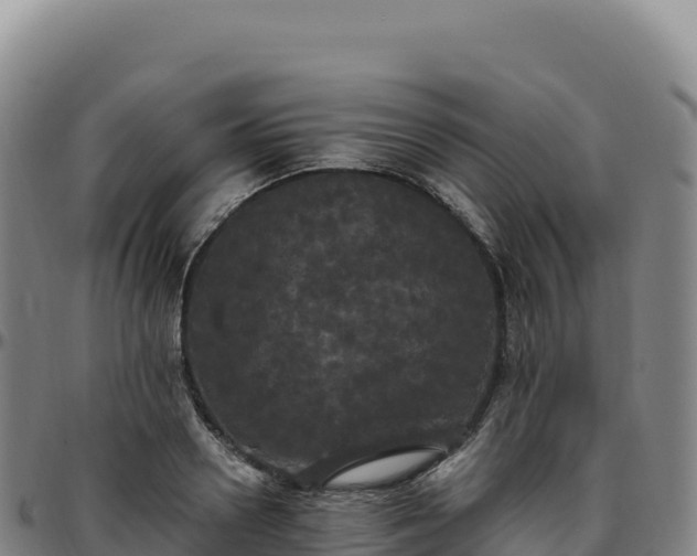 X0000096490938200801311615