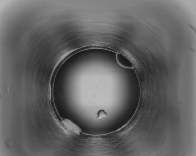 X0000096490940200801311615