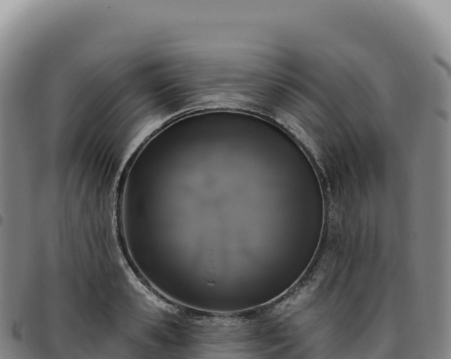 X0000096490941200801311615