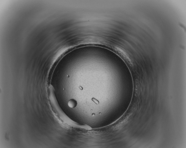 X0000096490942200801311615