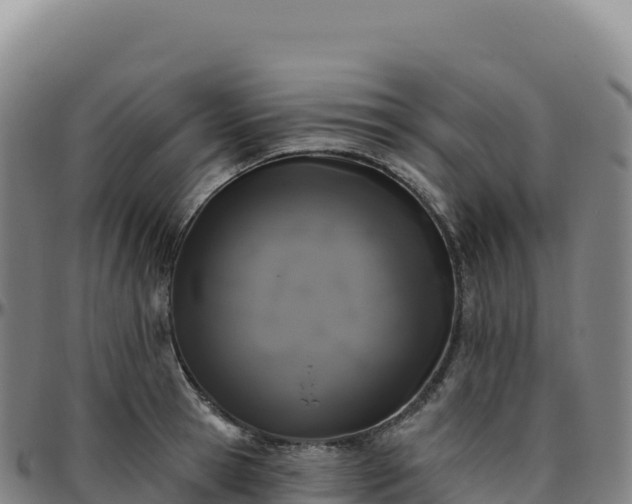 X0000096490945200801311615