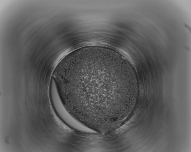X0000096490946200801311615