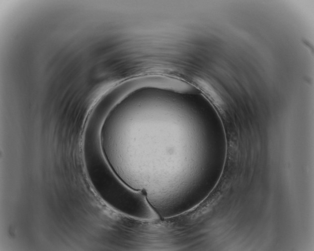 X0000096490948200801311615