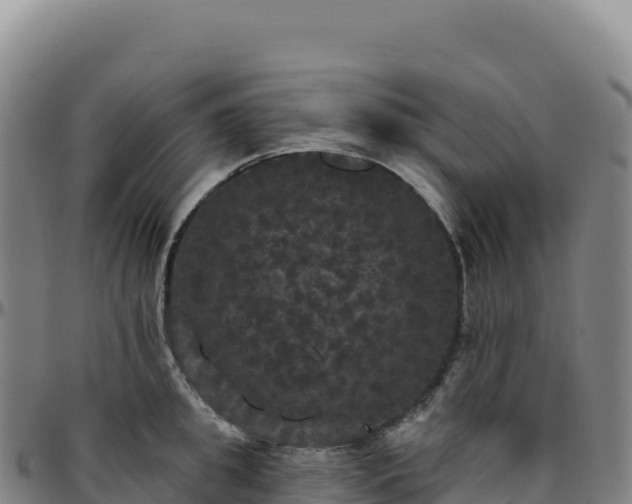 X0000096490949200801311615