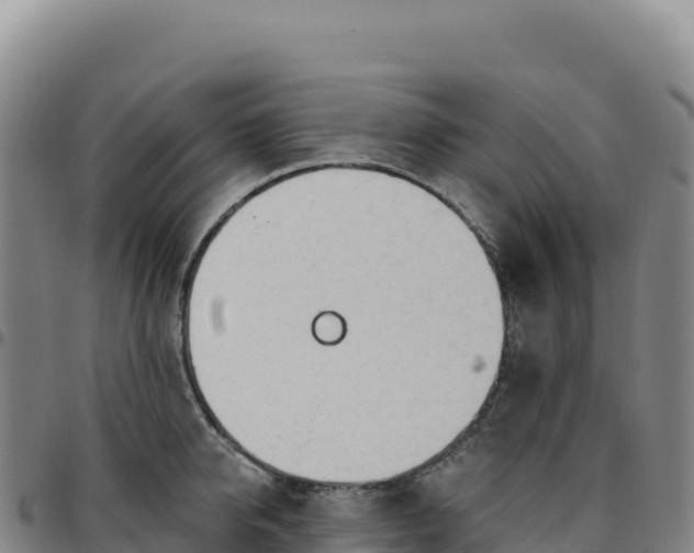 X0000096490950200801311615