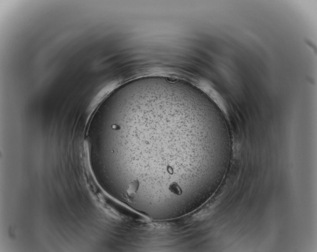 X0000096490954200801311615