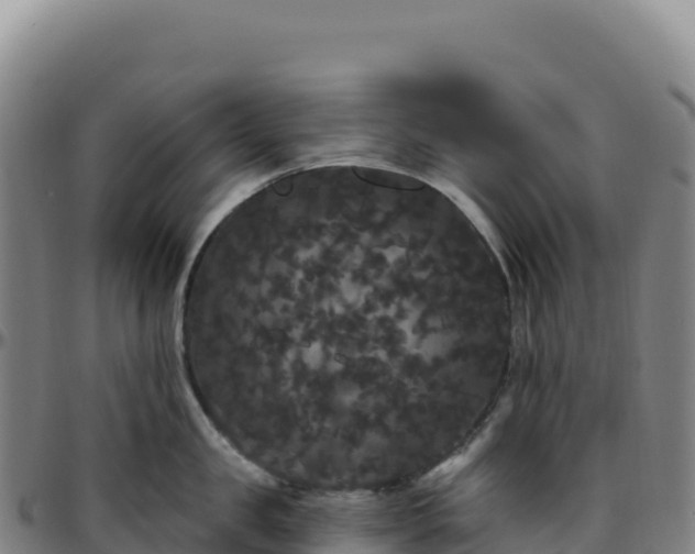 X0000096490957200801311615