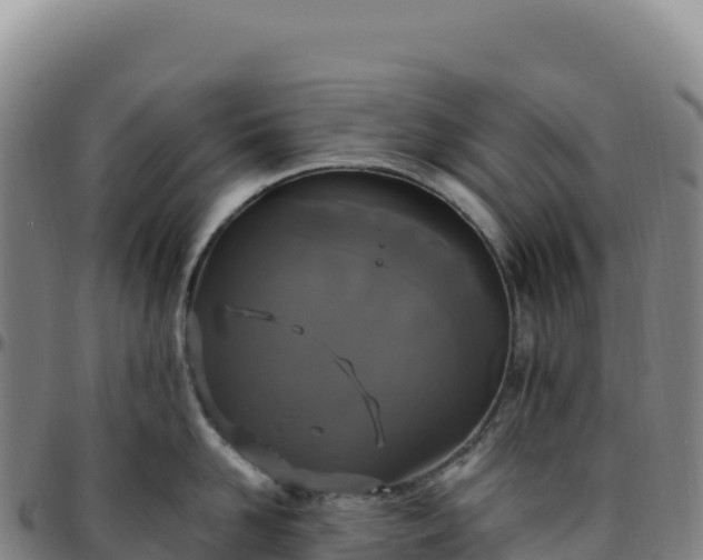 X0000096490958200801311615