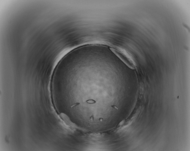 X0000096490959200801311615