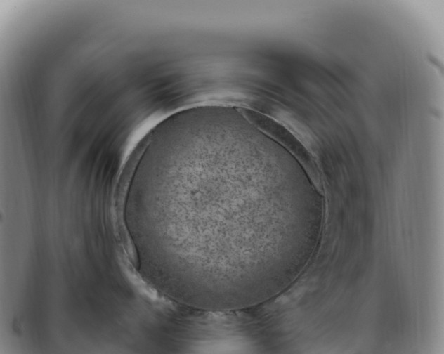 X0000096490960200801311615