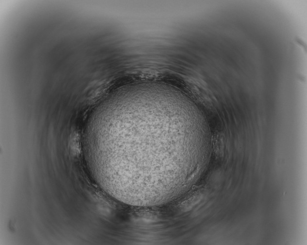 X0000096490962200801311615