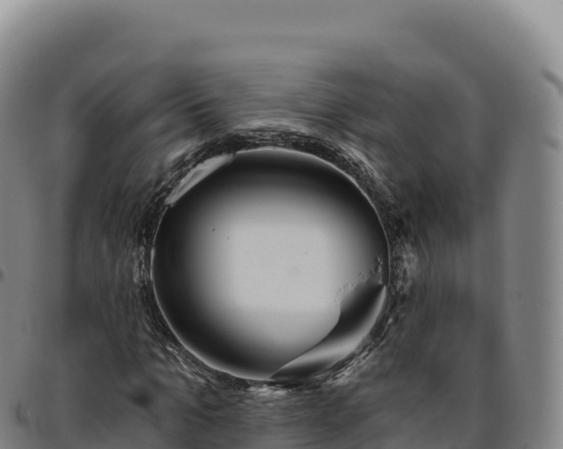 X0000096490965200801311615