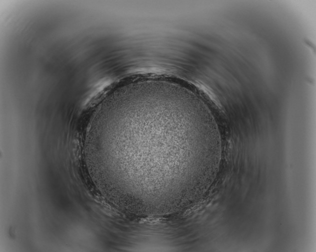 X0000096490967200801311615