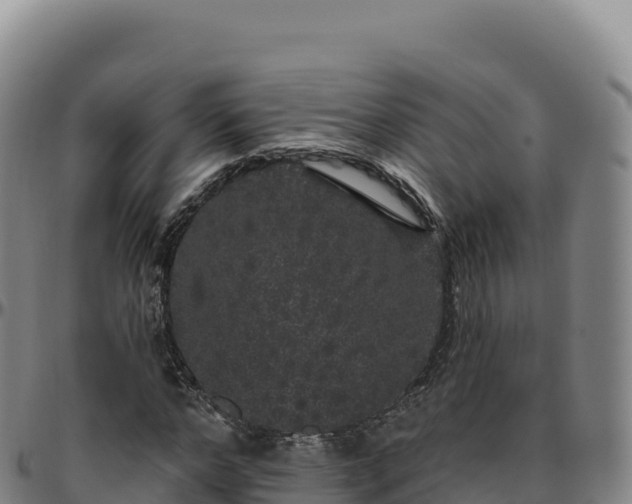 X0000096490968200801311615