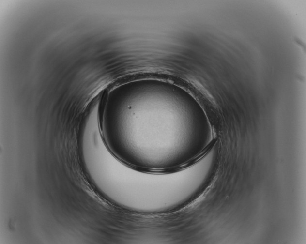 X0000096490969200801311615