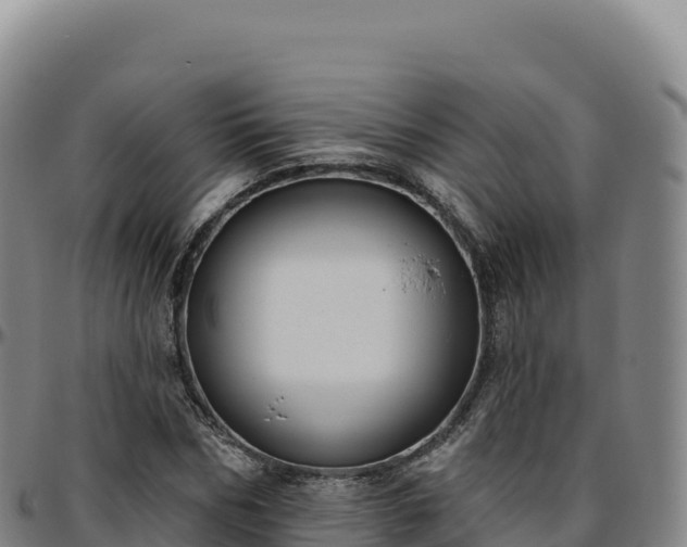 X0000096490970200801311615