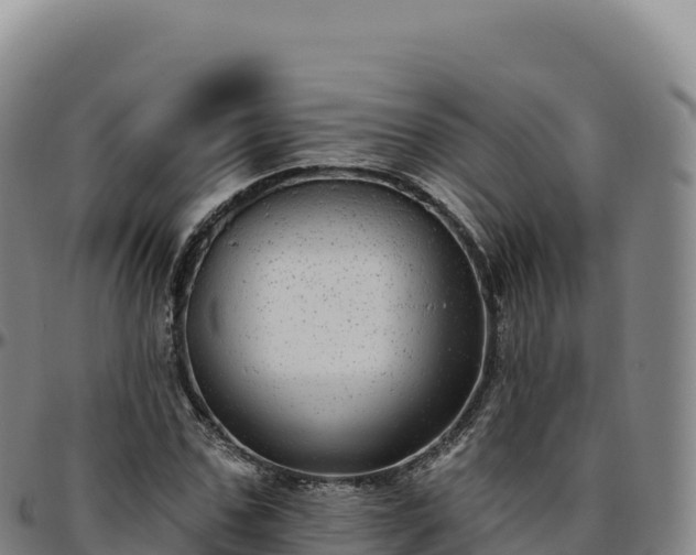 X0000096490971200801311615