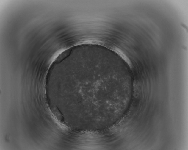 X0000096490972200801311615