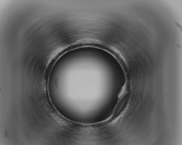 X0000096490973200801311615