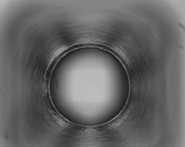 X0000096490974200801311615