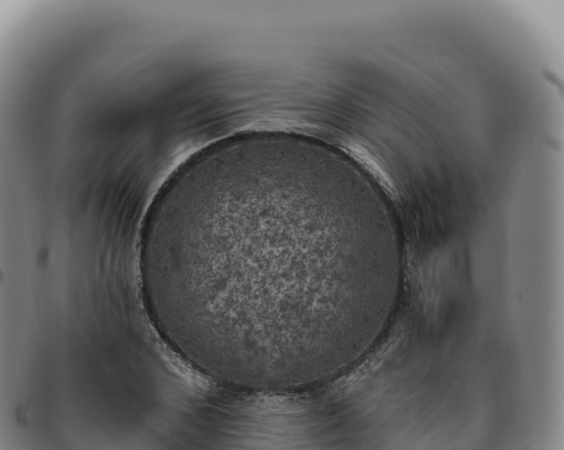 X0000096490976200801311615