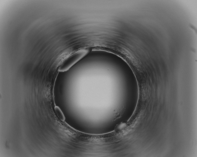 X0000096490977200801311615