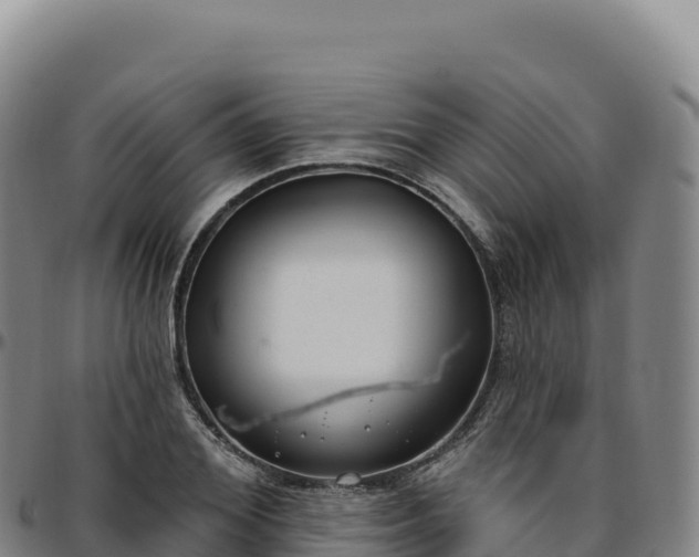 X0000096490980200801311615