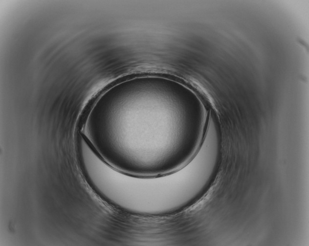 X0000096490981200801311615