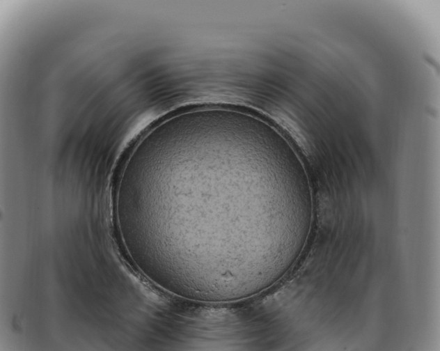 X0000096490982200801311615