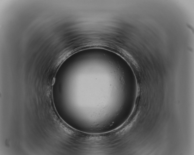 X0000096490985200801311614