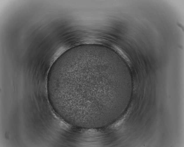 X0000096490986200801311614