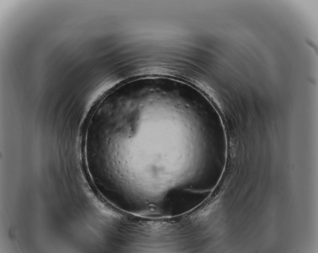 X0000096490987200801311614