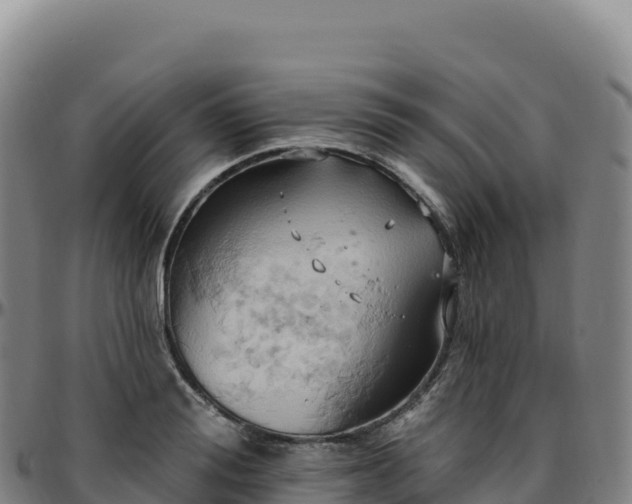 X0000096490988200801311614