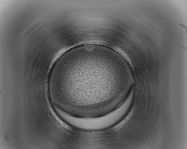 X0000096490989200801311614