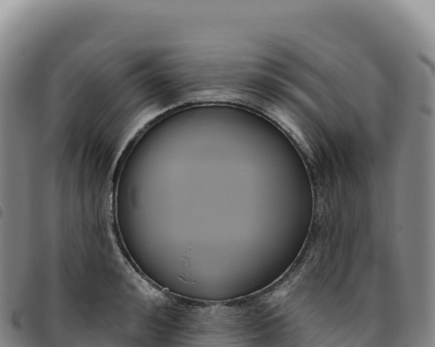 X0000096490992200801311614